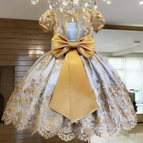 Elegant Dress for Girls