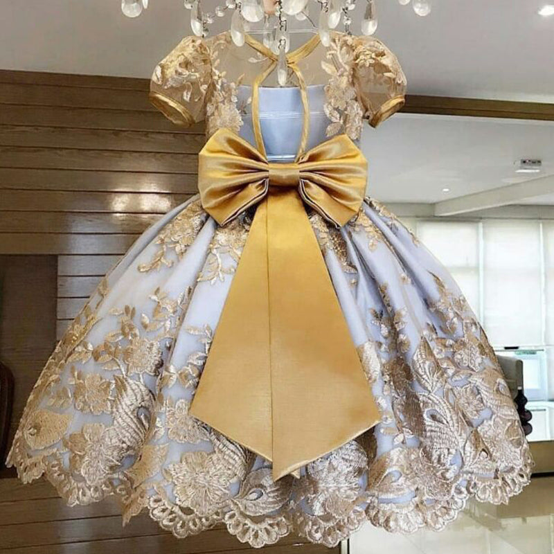 Elegant Dress for Girls
